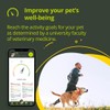 Kippy - GPS Pet Tracker Collar Evo - Health and