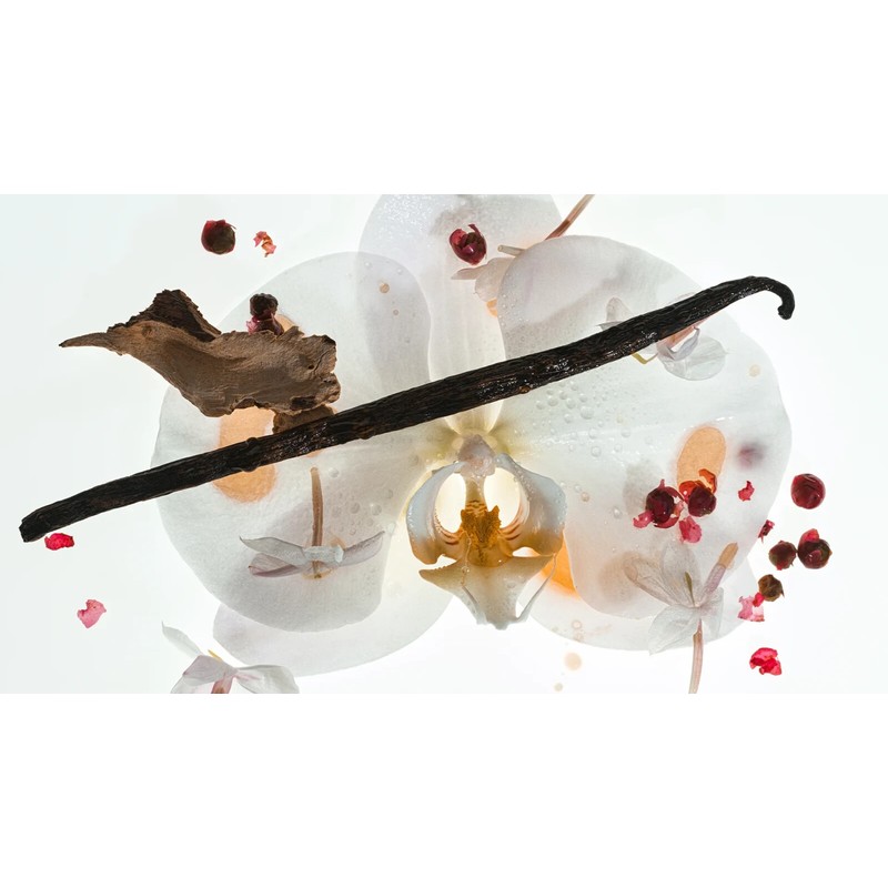 PHLUR Vanilla Skin Sample Size NIB