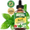 myVidaPure Basil Essential Oil 100% Pure Natural Undiluted 2 fl