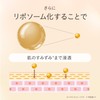 FEMMUE Lumiere Concentrate Cream (Moisturizing Cream), Pore Care, Vitamin C