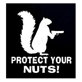 Protect Your Nuts Funny Squirrel Decal Vinyl Sticker|Cars Trucks Vans Walls Laptop| White |5.5 x 5.75 in|CCI910