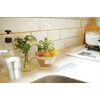 Kishima Eklia Deodorizing Artificial Green 5 L Size KH-61184 Size: