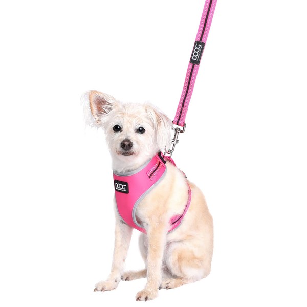 DOOG - Neoprene Dog Leash, Lady (Neon) - Large