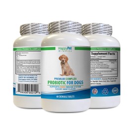 dog gastrointestinal supplement - DOG PREMIUM PROBIOTICS - SAVORY BEEF FLAVOR - STOPS DIARRHEA BAD GAS BAD BREATH - GUT HEALTH - bad dog breath all natural - 1 Bottle (60 Treats)