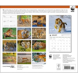 Calendar Ink, Tigers WWF 2025 Wall Calendar