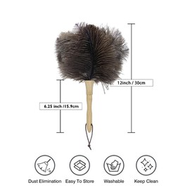 Duster with Ostrich Feathers, Duster Ostrich Bamboo Handle Feather Duster, Ostrich Natural Ostrich Feathers, Antistatic Wooden Handle Feather Duster, Dust Cleaning Tool, 29 cm