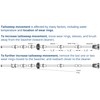 Polaris Tail Sweep Hose Replacement - Fits Polaris 180 280