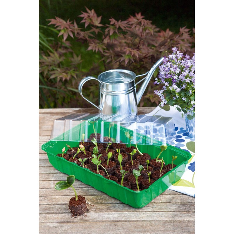 Growing Greenhouse M Plus 36 x 22 x 13 cm