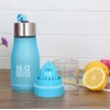 Mr. Gadget Solution® 650ml Portable Fruit infuser water bottle For
