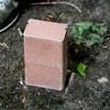 Ani-Logics Outdoors Crush Brassica Brick-6pk