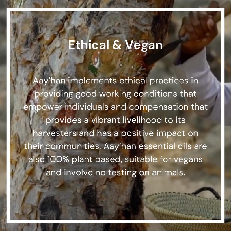 AAY’HAN | 100% Pure Frankincense (Sacra) Essential Oil from Oman