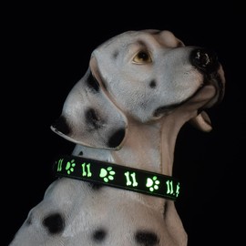 DOGLED Flashing USB-C led Light up Dog Collar, Subversive 3D Design Comfortable and Soft Material,Multicolored Lighting (PW-Black, XS(7.87-11.8"))