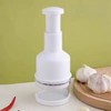 Stainless Steel Garlic Press and Onion Chopper - Manual Vegetable