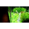 Finnex FugeRay Planted Aquarium LED Light Plus Moonlights, 24-Inch