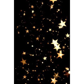 Gold Star Blank Sketchbook 100 pages 6 x 9 inches Kids Teen Adult Travel Sketchbook