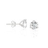 1/4 Carat Diamond Round Stud Earrings for Women in 14k
