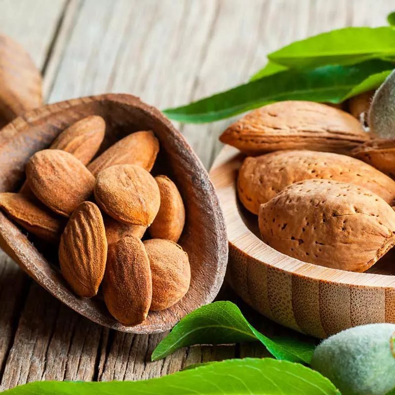 Celesty Crema De Almendras Nutritiva 1lt Celesty®