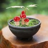 Healifty 3pcs Mini Miniature Mushroom Figurines Wooden Mini Toadstools Fairy