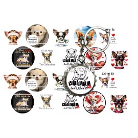 HHTDesigns Bottle Cap Images (25mm) 1" ~ Precut  Chihuahua - Lot of 40 images 1"