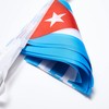 WXTWK Cuba Flags Cuban Small Mini Pennant String Banner Flag