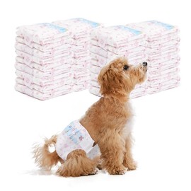 Carrotmiss Male Dog Diapers,12 Count (Waist 11-17 in), Ultra Absorbent Disposable Wrap with Secure Fit, Leakproof and Comfortable,Disposable Dog Diapers Female 10 Count Doggie Diapers(Waist 11-17 in),Incontinence Bed Pads,Puppy Pee Training Pad - Colour:
