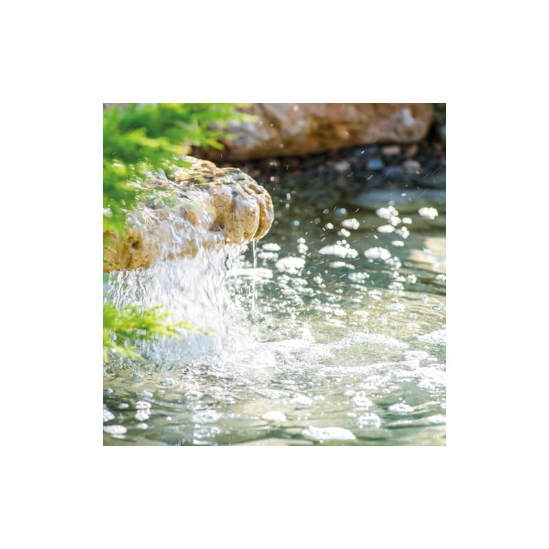 Starter Bacteria - Highly Active Microorganisms for Garden and Swimming
