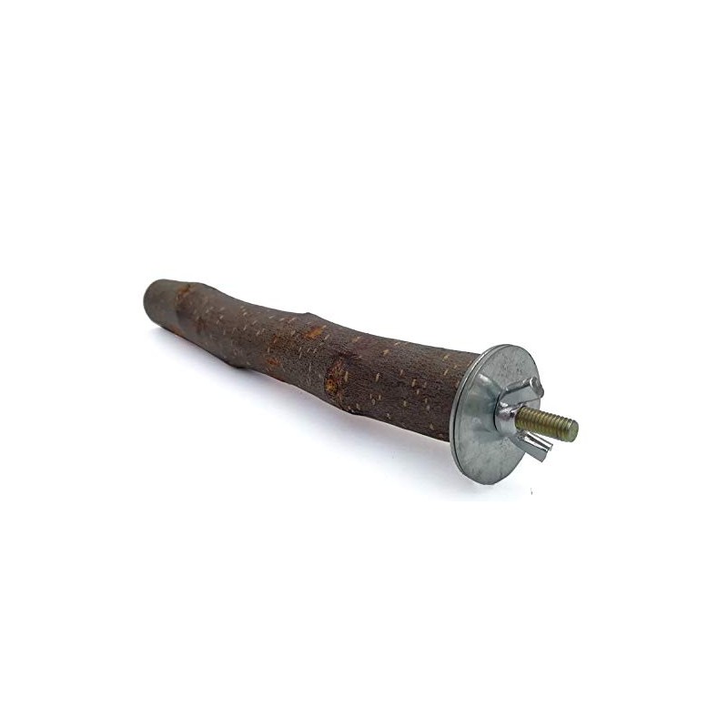I Shape Bird Perch Parrot Branch Apple Tree Nature Tree