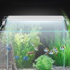13W High Bright LED Light Lamp with Bracket for Aquarium