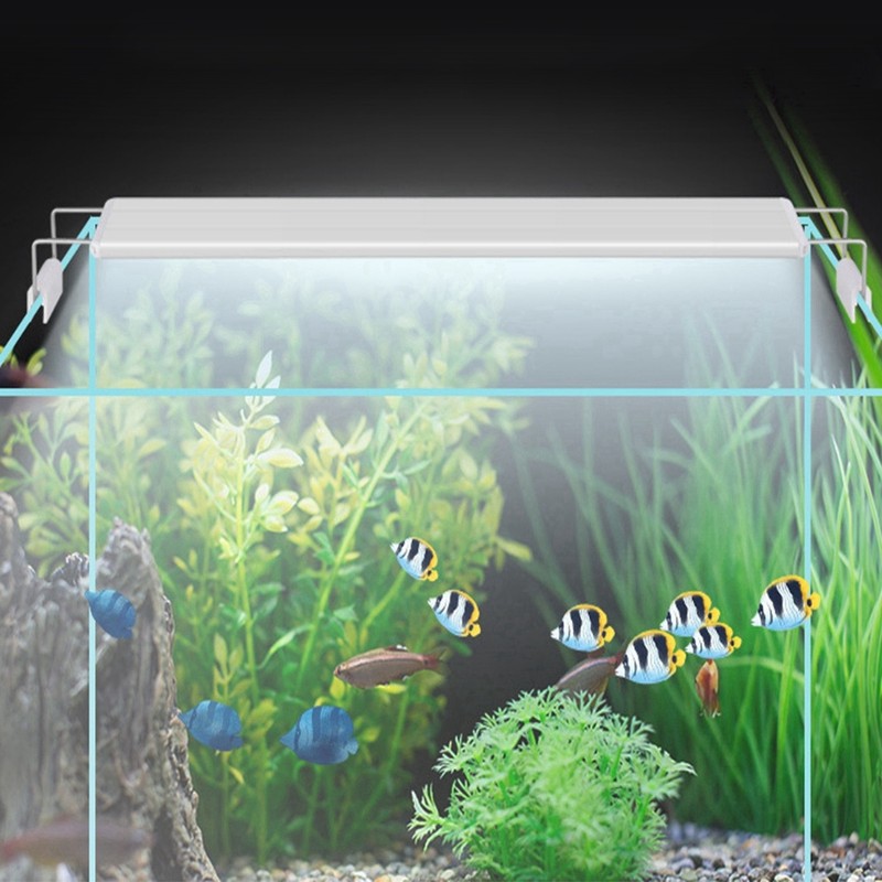 13W High Bright LED Light Lamp with Bracket for Aquarium