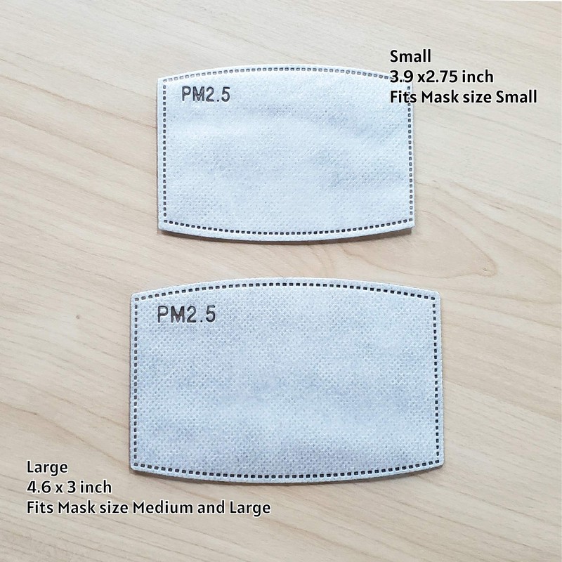 Spring Notion PM 2.5 Activated Carbon Filter Insert Large 20