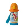 Dinosaur Water Bottle, Stainless Steel Bottle, Thermos (600ml)