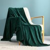 Exclusivo Mezcla Large Flannel Fleece Throw Blanket, 127x178 CM Sofa