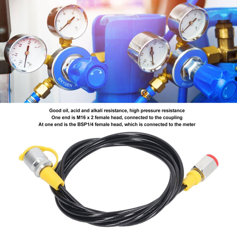 2m/6ft Hydraulic Pressure Test Hose 630Bar M16 X 2‑1/4BSP PU