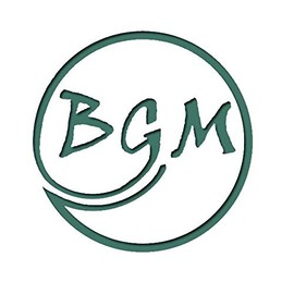 LifeSavers Hard Candy, Individually Wrapped, Bulk (1pound) (Watermelon)