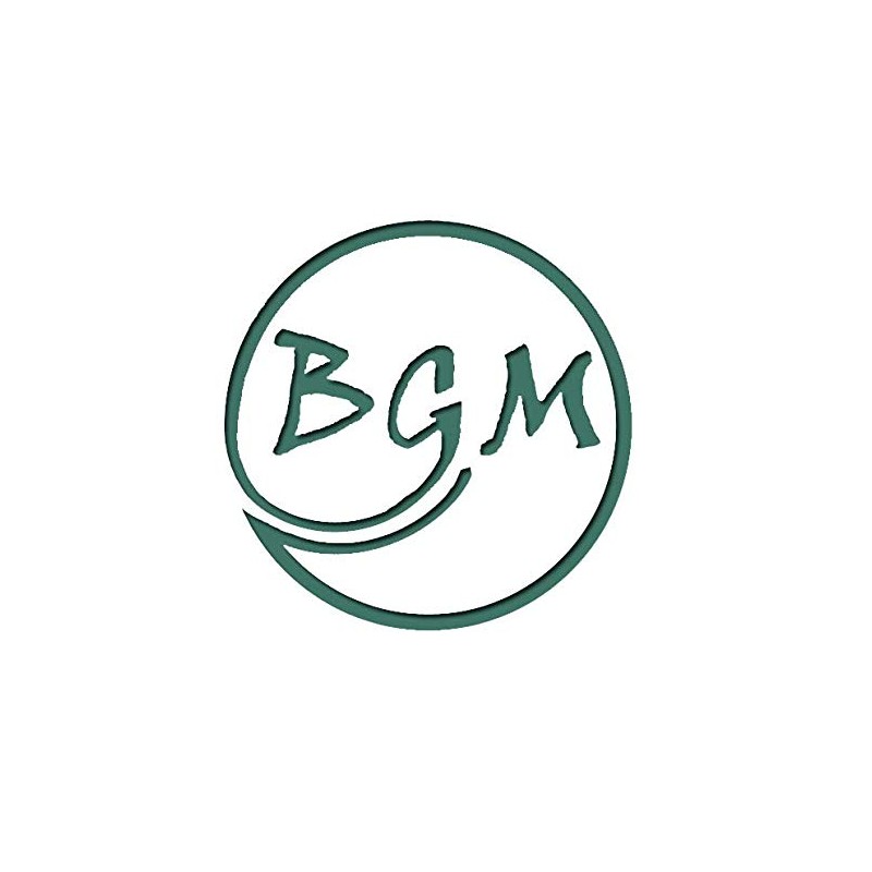 LifeSavers Hard Candy, Individually Wrapped, Bulk (1pound) (Watermelon)