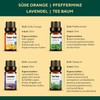 Organic Essential Oils Set of 12 - Natural Relaxation for