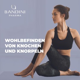 Bandini® MSM | 2000 mg with 40 mg Vitamin C per Daily Dose | More Compact Methylsulfonylmethane Powder than Capsules | No Magnesium Stearate, High Dose, Vegan, No Additives, Laboratory Tested | 200