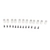 Fiber Optic Lights Kit 12 Holes 6W White Light Meteor
