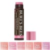 Burt's Bees Tinted Lip Balm, Pink Blossom 0.15 oz (4.25