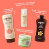 Hawaiian Tropic Sheer Touch Lotion Sunscreen SPF 15, Unisex, 8