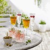 Lakeland Crystal-Look Acrylic Champagne Prosecco Flute