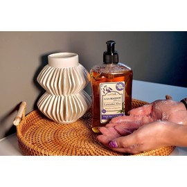 A La Maison de Provence Liquid Hand Soap | Lavender Aloe Scent | French Milled Moisturizing Natural Hand Soap | in 16.9 oz. Pump Bottles | (1 Pack)