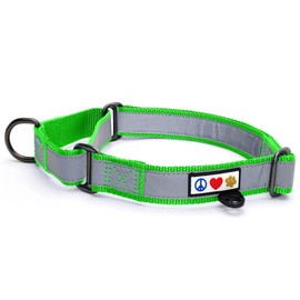 Pawtitas Martingale Dog Collar Puppy Collar Reflective Dog Collar Training Collar for Dogs Training Collar for Dogs Large Dog Collar Green Dog Collar