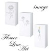 next.design Mini Curtain, Color Box, Flowers, Shelf, Rack, Nordic, Line
