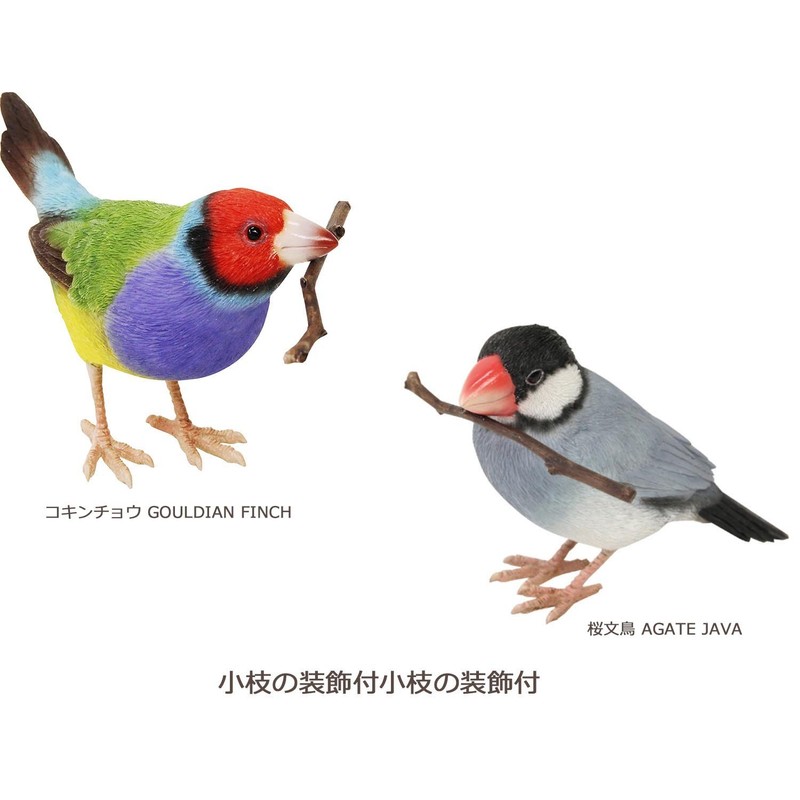 Birdie Bill Realistic Bird Hard Type Toy Doll Figure (Cockatiel)