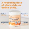 NativePath Native Hydrate, Zero Sugar, Electrolytes Powder with BCAAs, Tangerine