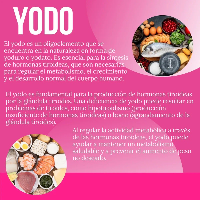 Suplemento Quemador Reductivo Con Lipoenzimas 90 Cápsulas
