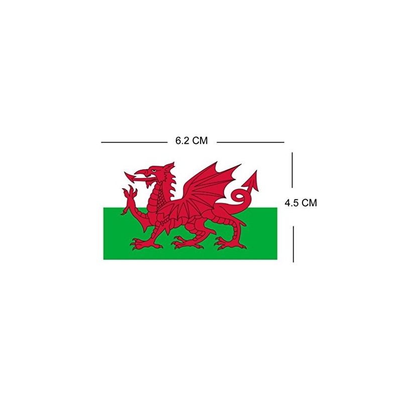 TENNER.LONDON SET OF 5 Welsh Flag Iron on Screen print