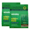 Sunday Sun & Shade 1,500 Sq. Ft. Seed + Feed,