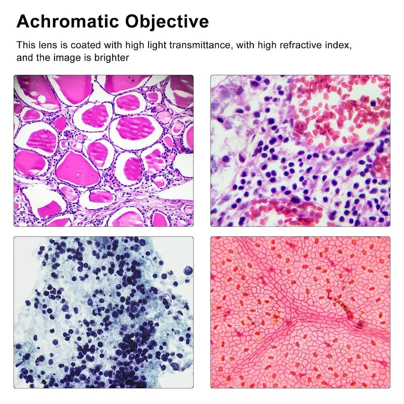 Digital Electronic Eyepiece 2MP USB Microscope Camera Major Clear Imaging